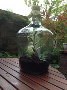 Tuin in een grote fles